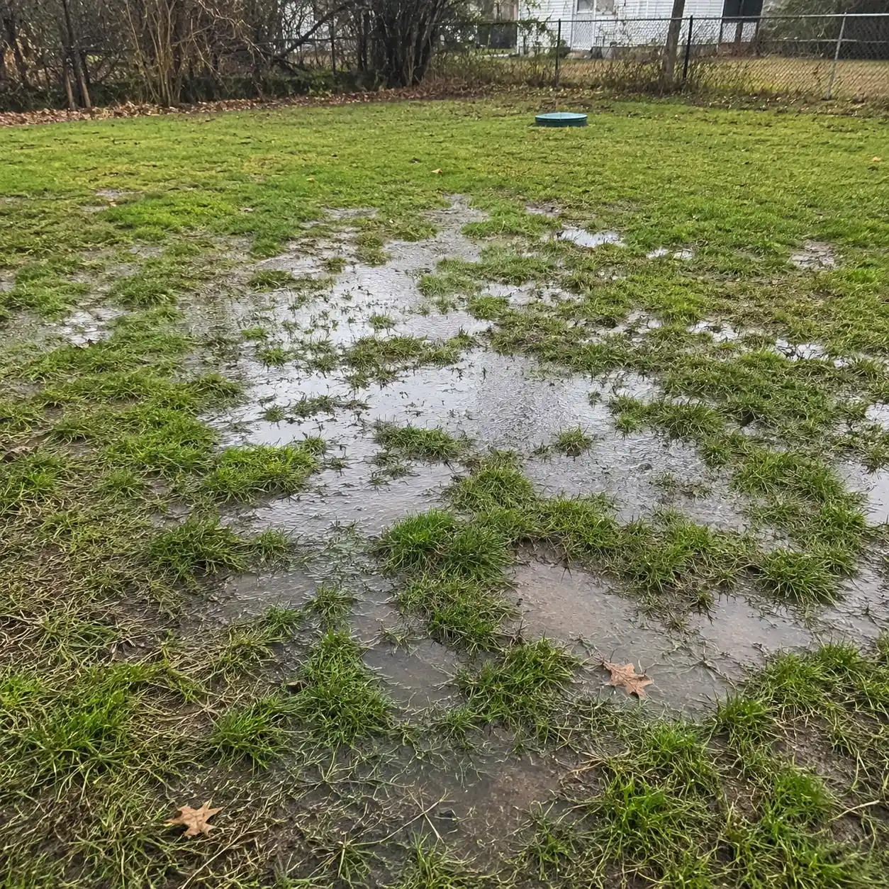Standing water over a failed drain field near Asheville, NC